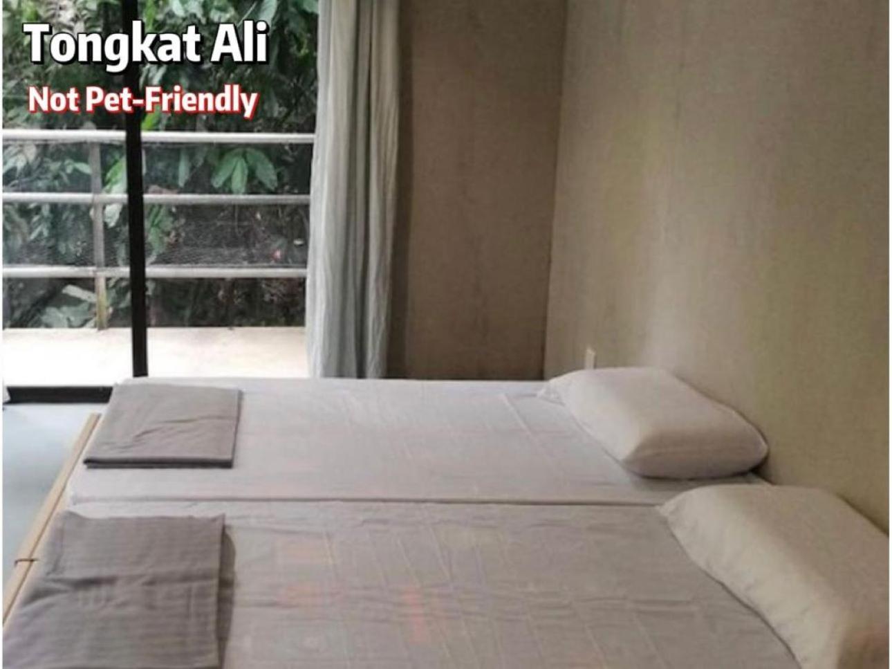 Gibbon Retreat Bentong Hotel Buitenkant foto