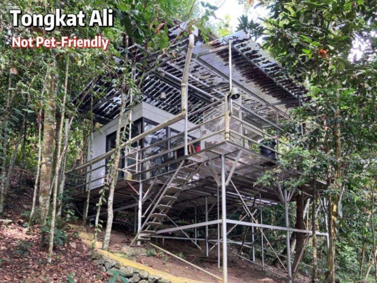 Gibbon Retreat Bentong Hotel Buitenkant foto