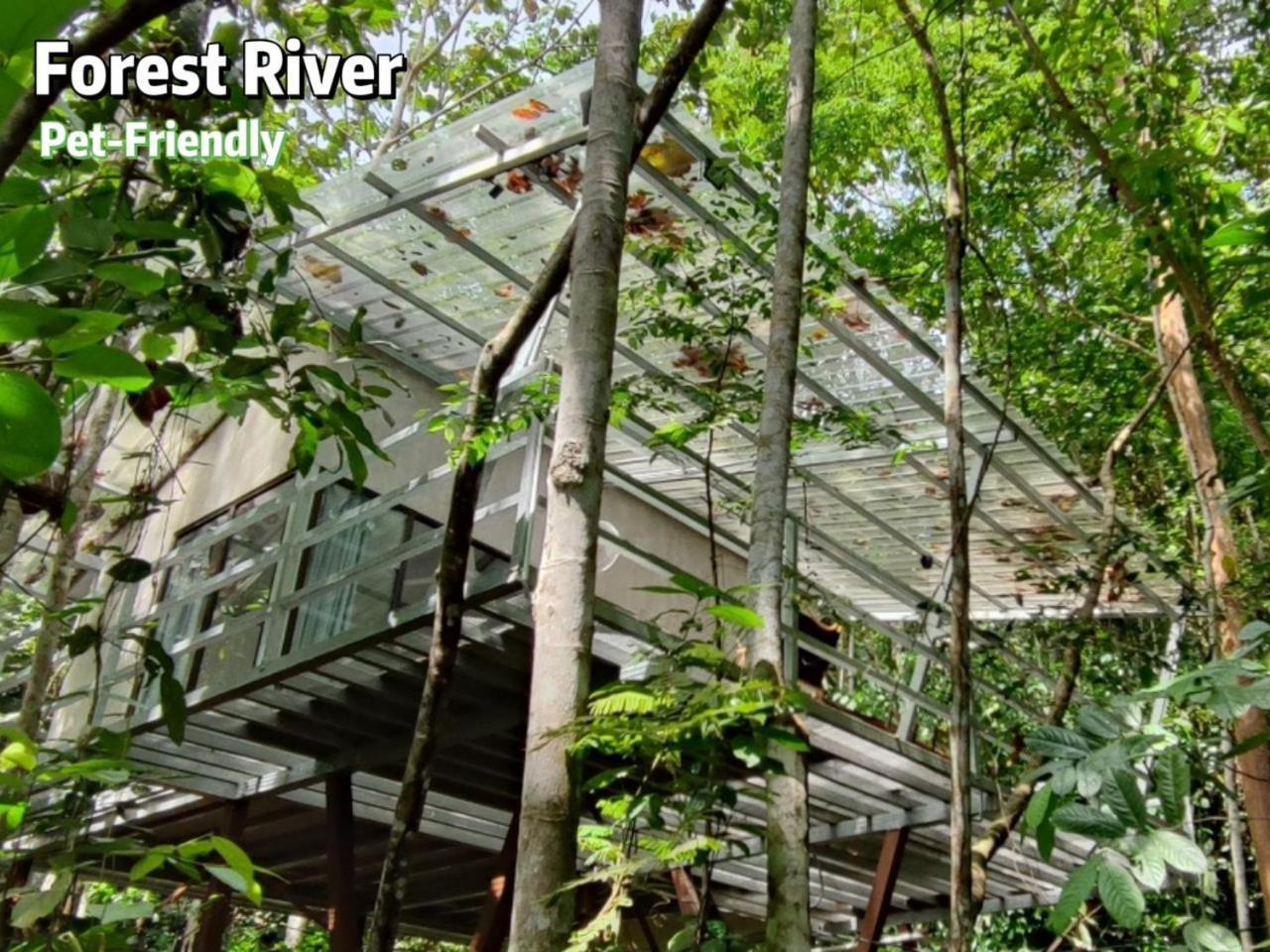 Gibbon Retreat Bentong Hotel Buitenkant foto